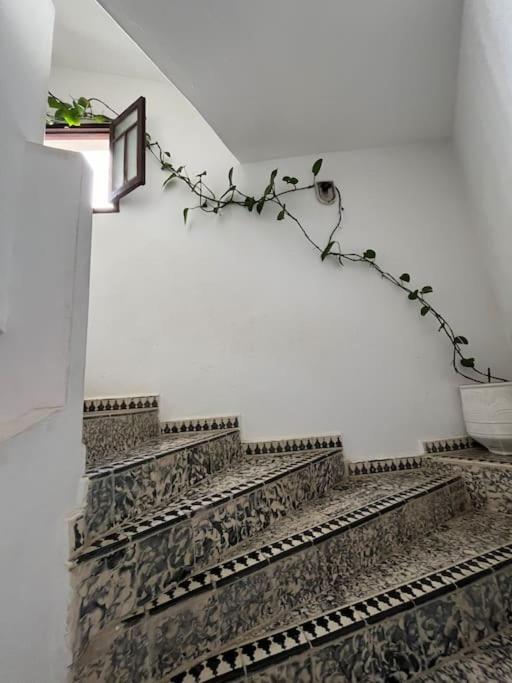 Mehek Apartment Asilah Bagian luar foto
